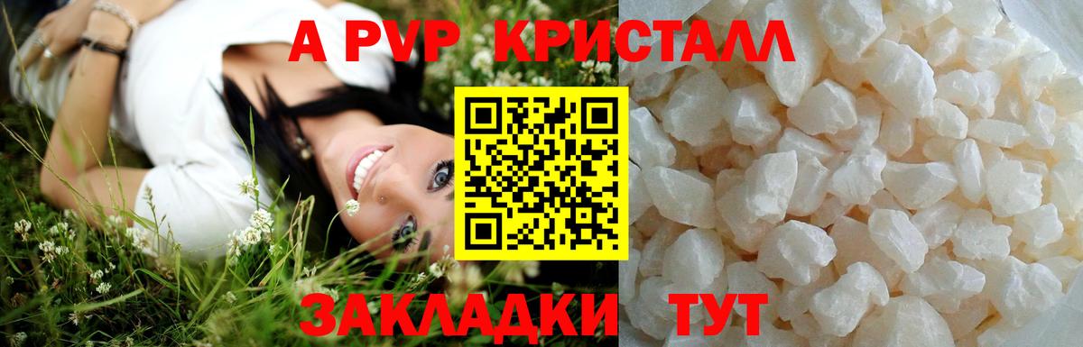 A PVP СК КРИС Карачаевск