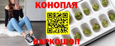 spice Краснодар
