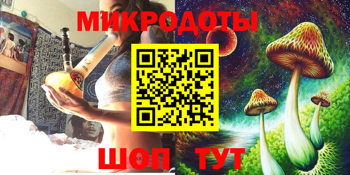 Галлюциногенные грибы Psilocybine cubensis  Вход с VPN  Карачаевск 